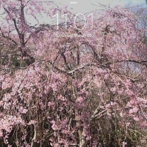 Meet your Posher, Jean